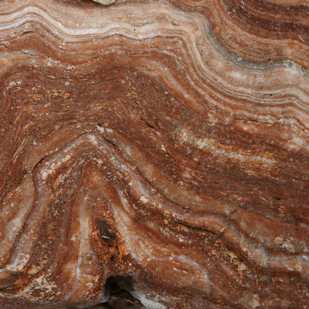 Rosewood Onyx