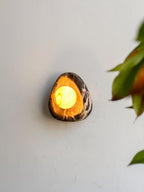 Round Edge Sconce with alabaster globe