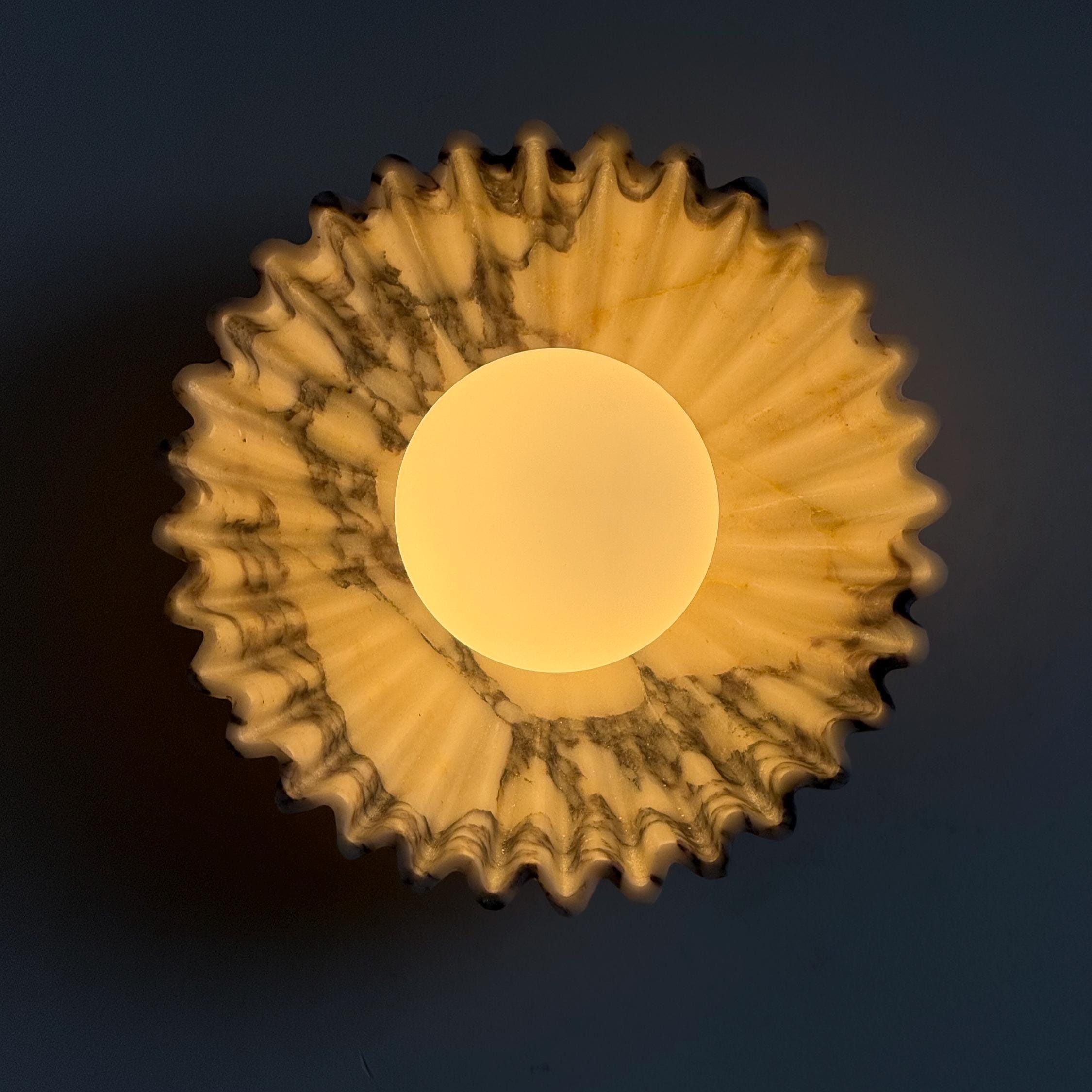 Echinus Sconce - Calacatta Viola