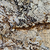 Terrain Canvas - Patagonia quartzite